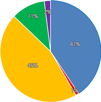 공약추진 현황 원형그래프 - 파란색:41%, 빨간색:1%, 노랑색:45%, 초록색:11%, 보라색:2%