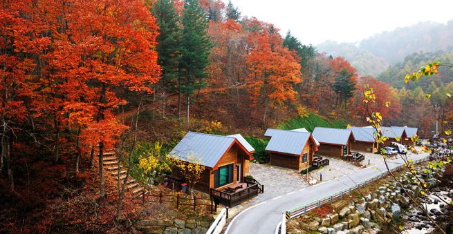 Baekdudaegan  Eco-Arboretum