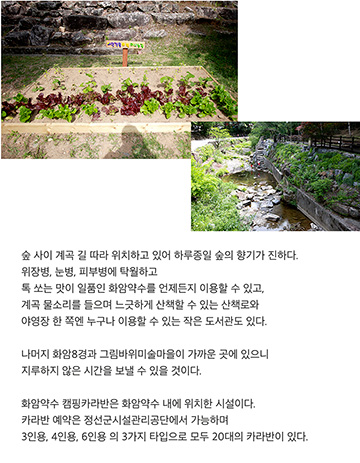6월 캠핑가기 좋은날