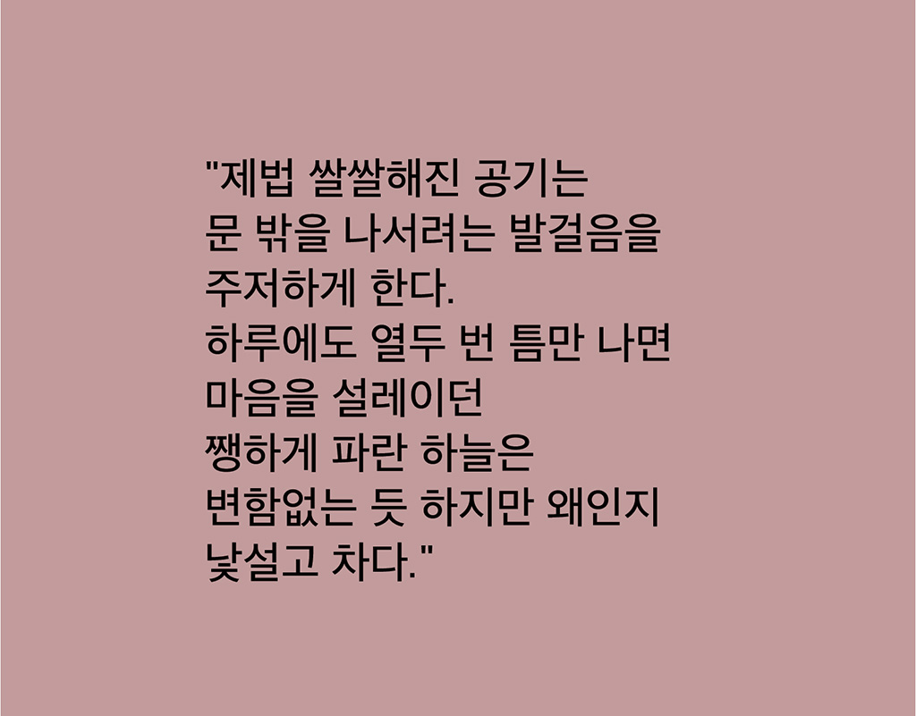 정선박물관