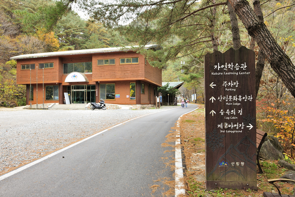 가리왕산 등산로 이미지 4