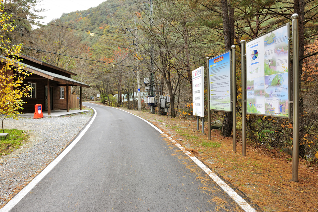 가리왕산 등산로 이미지 5