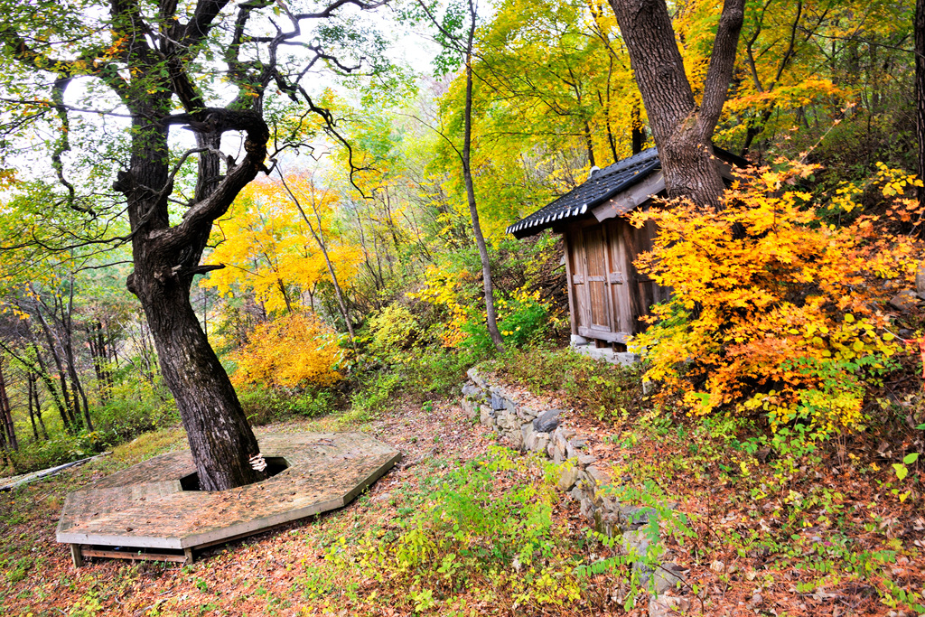 노추산