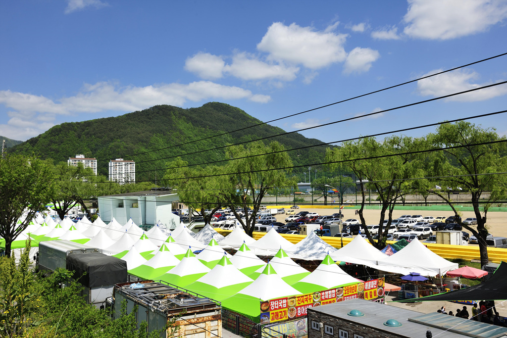 정선 곤드레산나물 축제