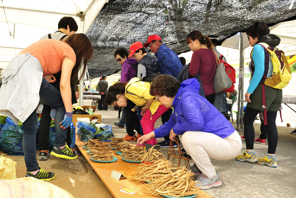 정선 곤드레산나물 축제 이미지 6