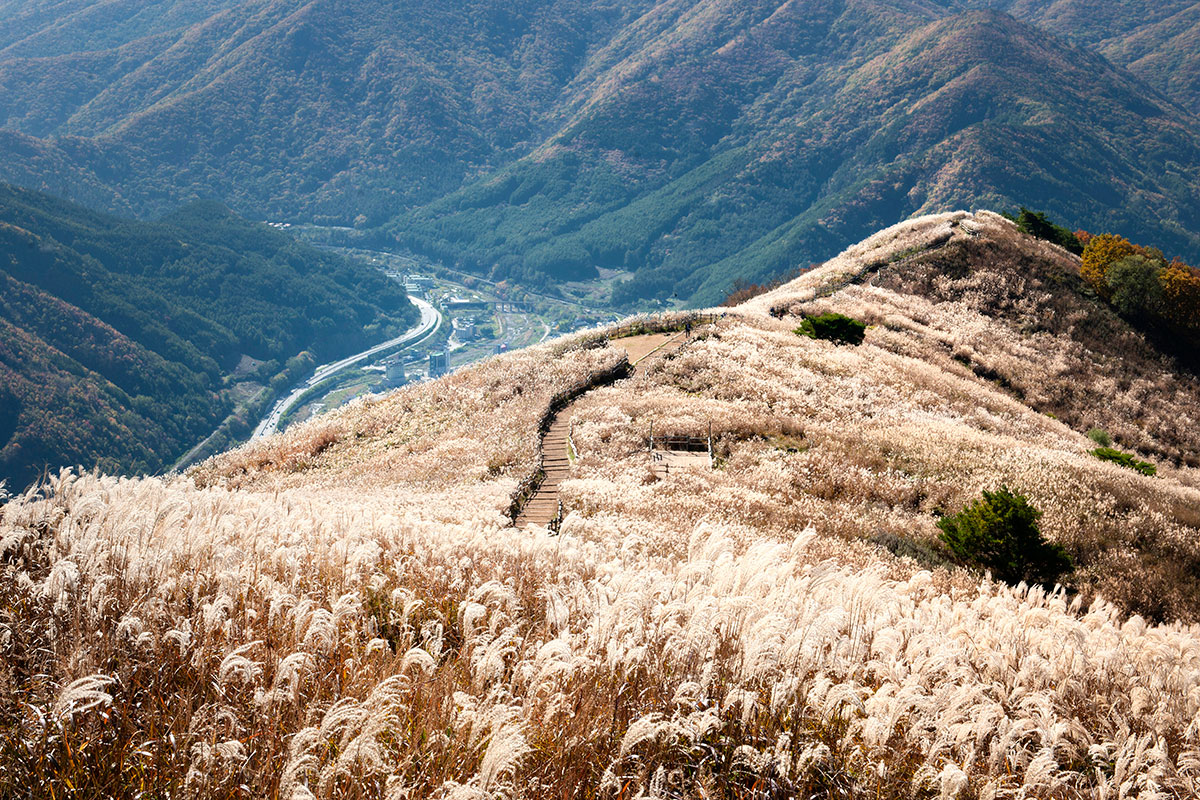 민둥산등산로