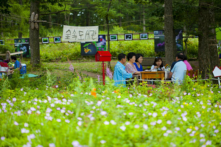 고한 함백산 야생화 축제 이미지 9