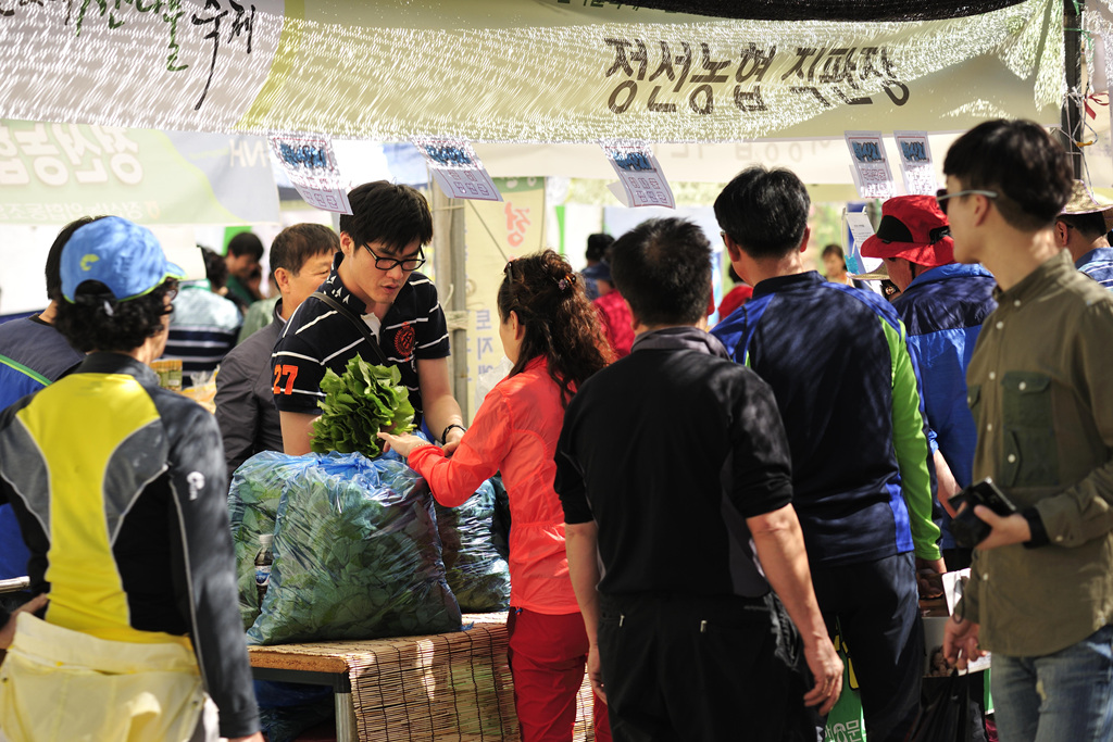 정선 곤드레산나물 축제 이미지 8