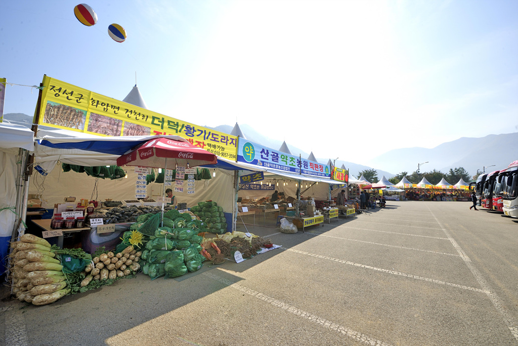 민둥산은빛억새축제 이미지 8